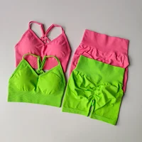 2 Pcs Yoga Sets Women High Waist Workout Outfits Gym Wear Gym Clothing Sports Suits Fitness Tracksuit Sportswear Shorts Suit - Image 2
