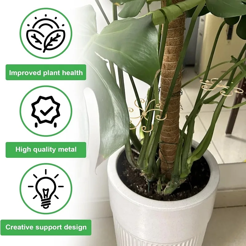 4/6/8Pcs Metal Plant Stem Support Durable Hook Stem Supports for Indoor Growing Climbing Alocasia Monstera Vine Healthy Growth