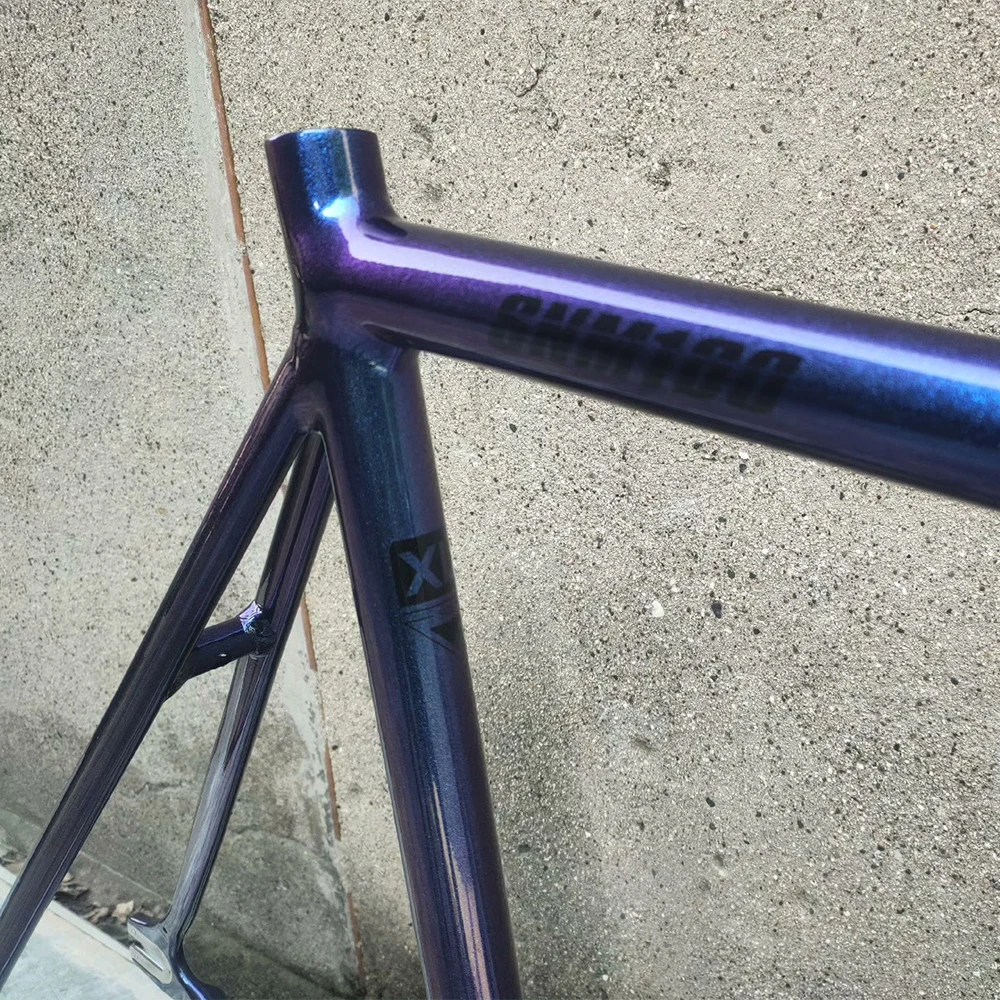 TSUNAMI SNM100 Chameleon 55CM　フレーム Chameleon Frame TSUNAMI SNM100 Fixie Frame Single Speed