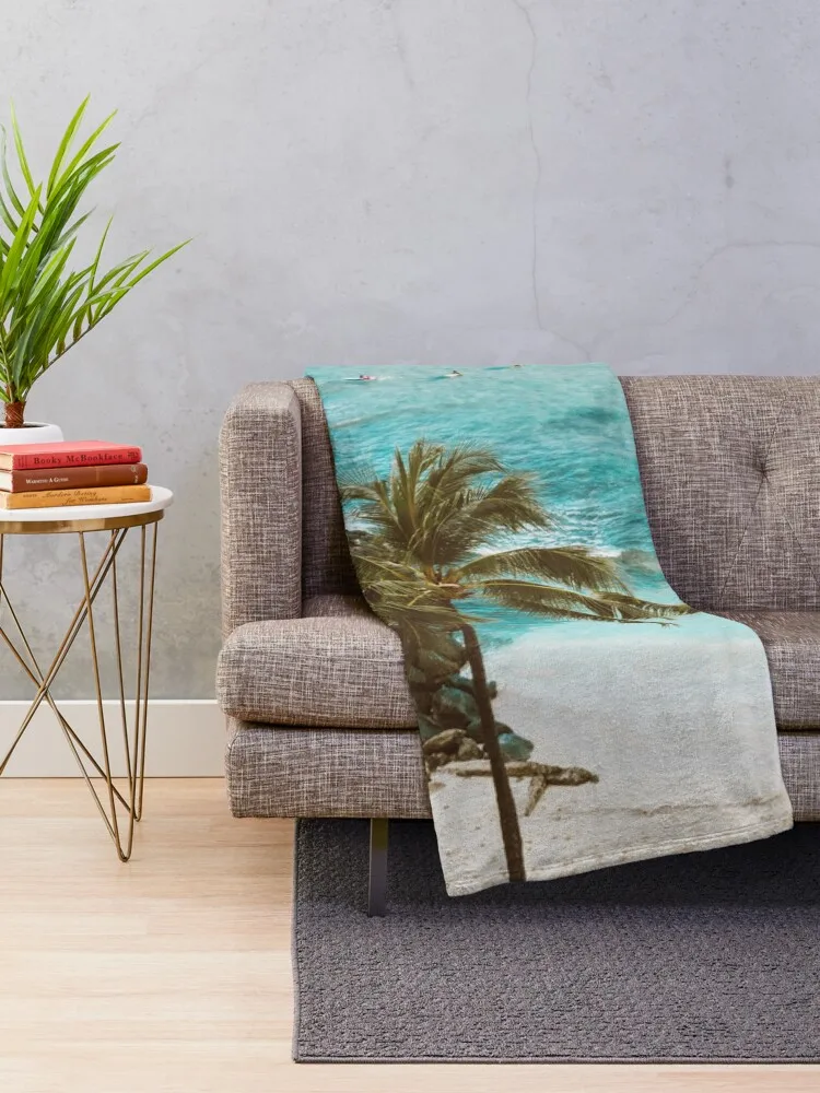 �Ķ���̽� ������ ���, ���� ���, ���� ���