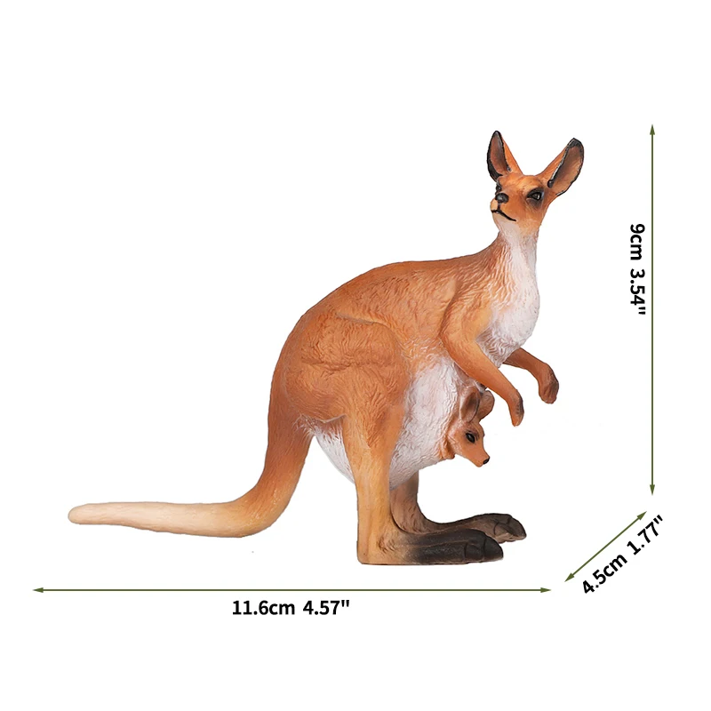 Kangaroo