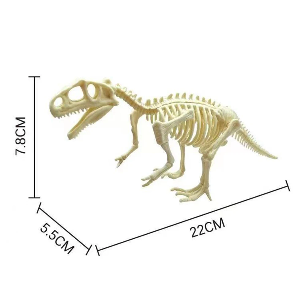DIY Dinosaur Fossil Skeleton Assembly Kit for Kids - Tyrannosaurus Rex