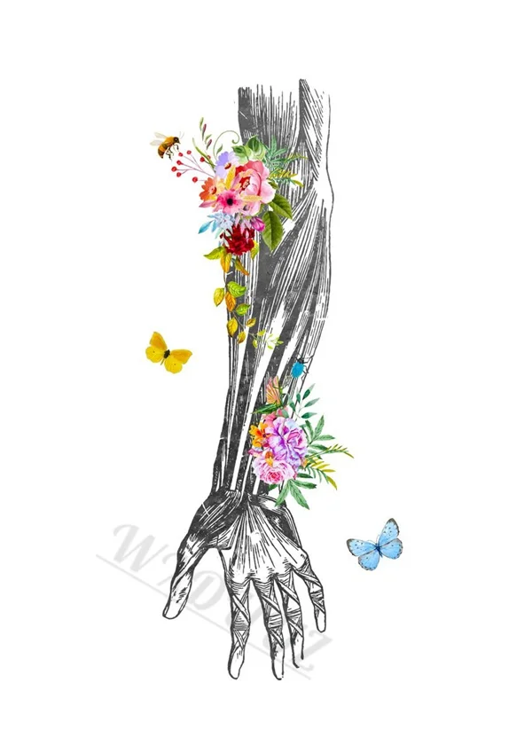 Butterflies Aesthetics Nordic Style Anatomy Art Canvas Print Posters for Home and Hospital Decor