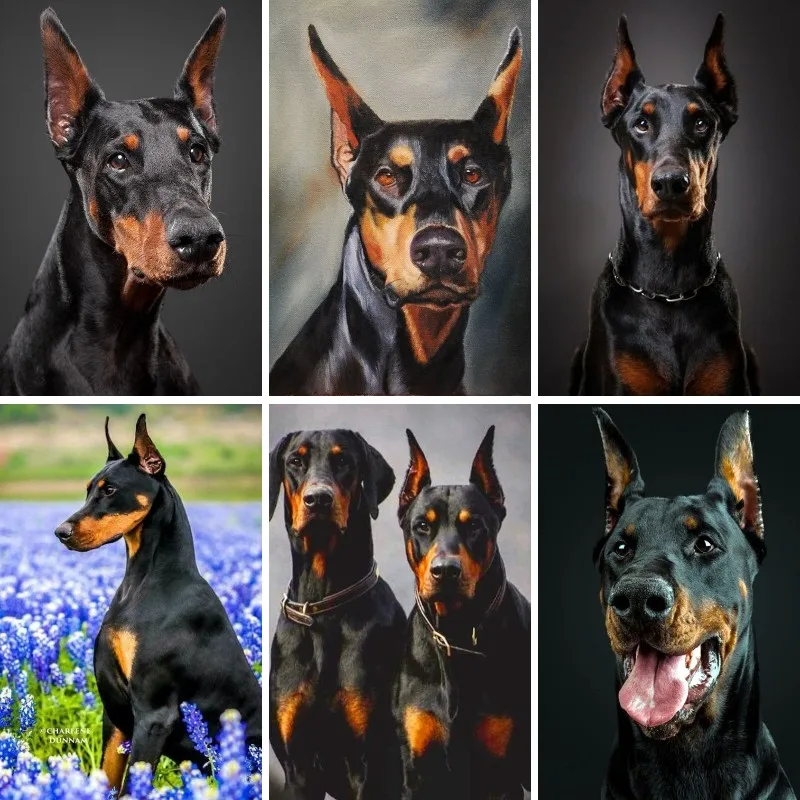 

Full Square Round Diamond Painting Cross Stitch Kits Doberman Pinscher DIY 5D Diamond Mosaic Diamond Embroidery Guard Dog