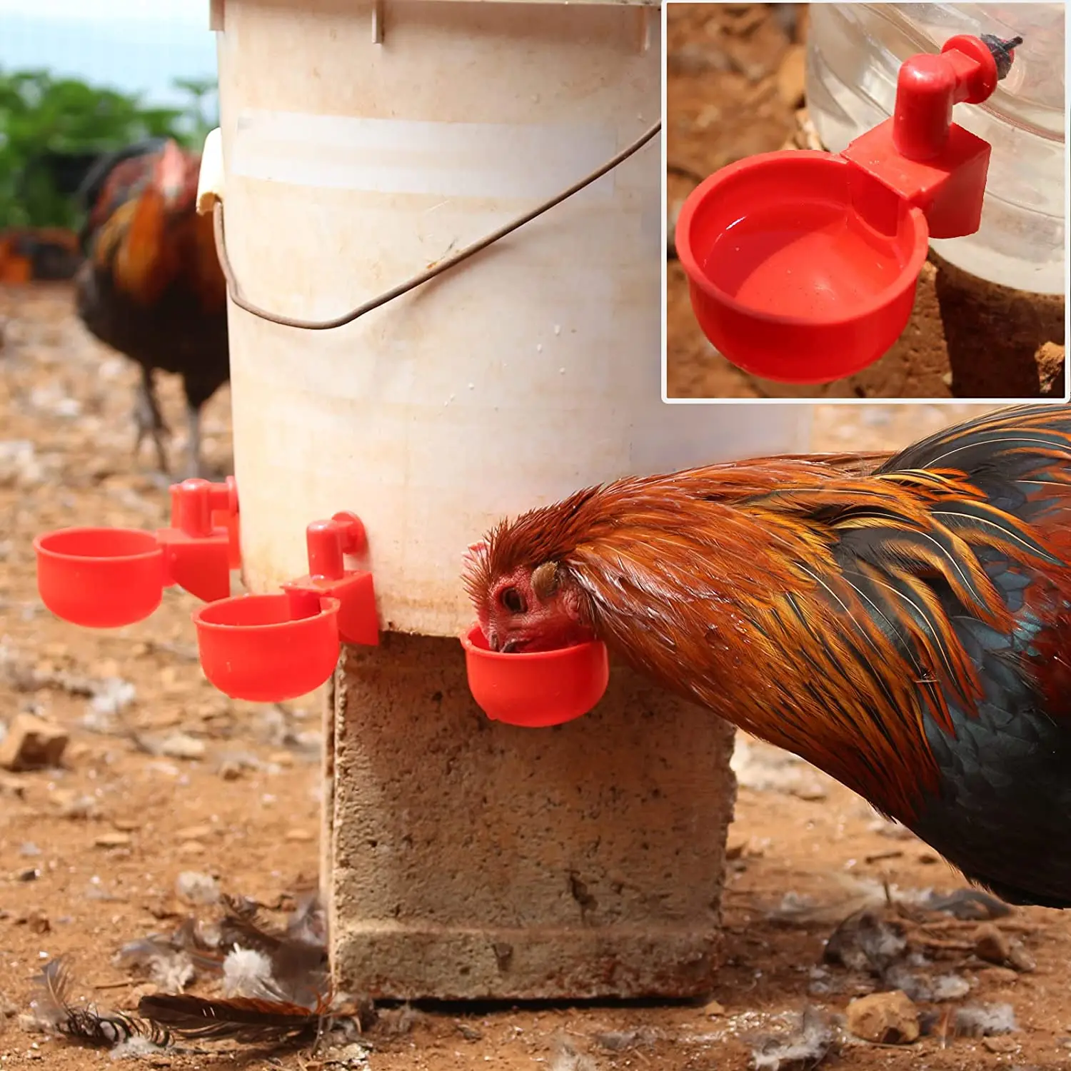 6-36Pcs Chicken Drinking Cup Automatic Water 2 6-36Pcs Chicken Drinking Cup Automatic Water 2