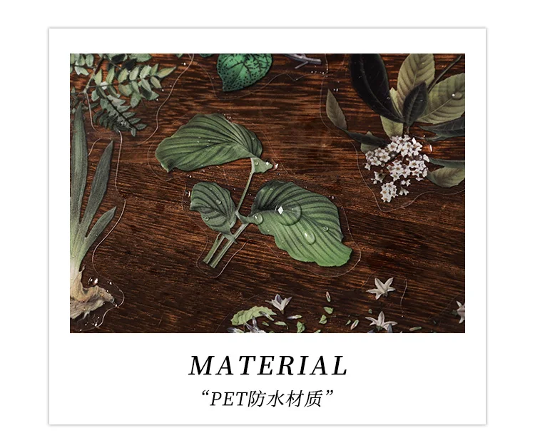 Journal GO 40pcs Natural Plants Animals Forest Stickers for Journaling Scrapbooking Decor Vintage Creative Sticker Stationery – Detail 9