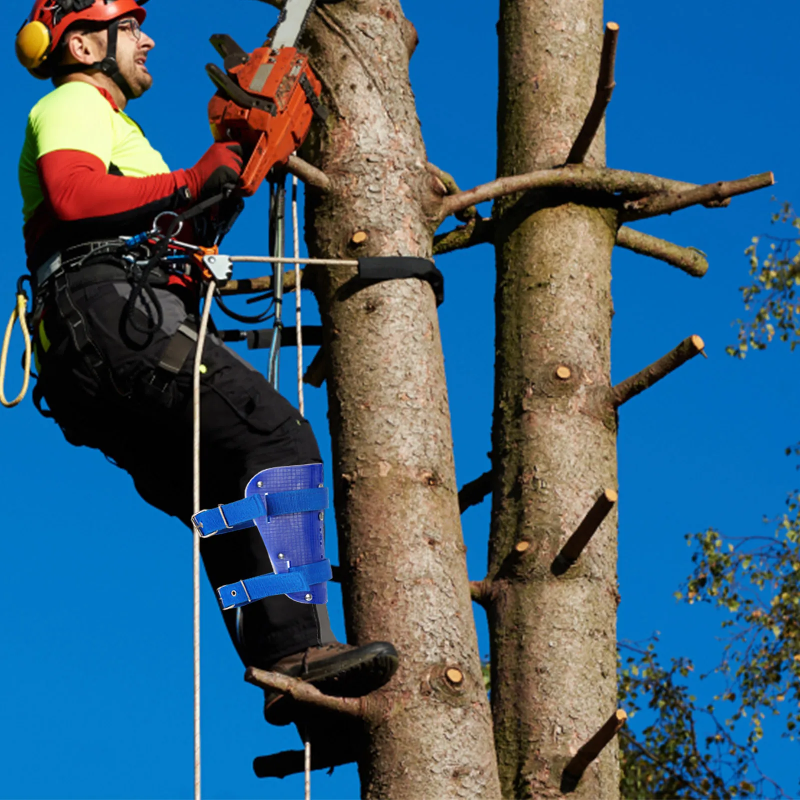 Climbing Equipment Tree, Climbing Equipment Gear