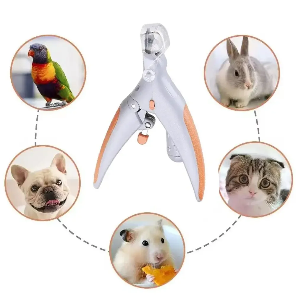 Professional Pet Nail Clipper Scissors With LED Light Cat Dog Nail Clippers Tool Scissors Toeclaw Cutter Pet Suppl