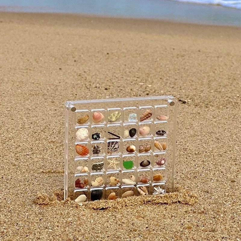 Acrylic Magnetic Marine Shell Display Box Organizer Starfish Ornament