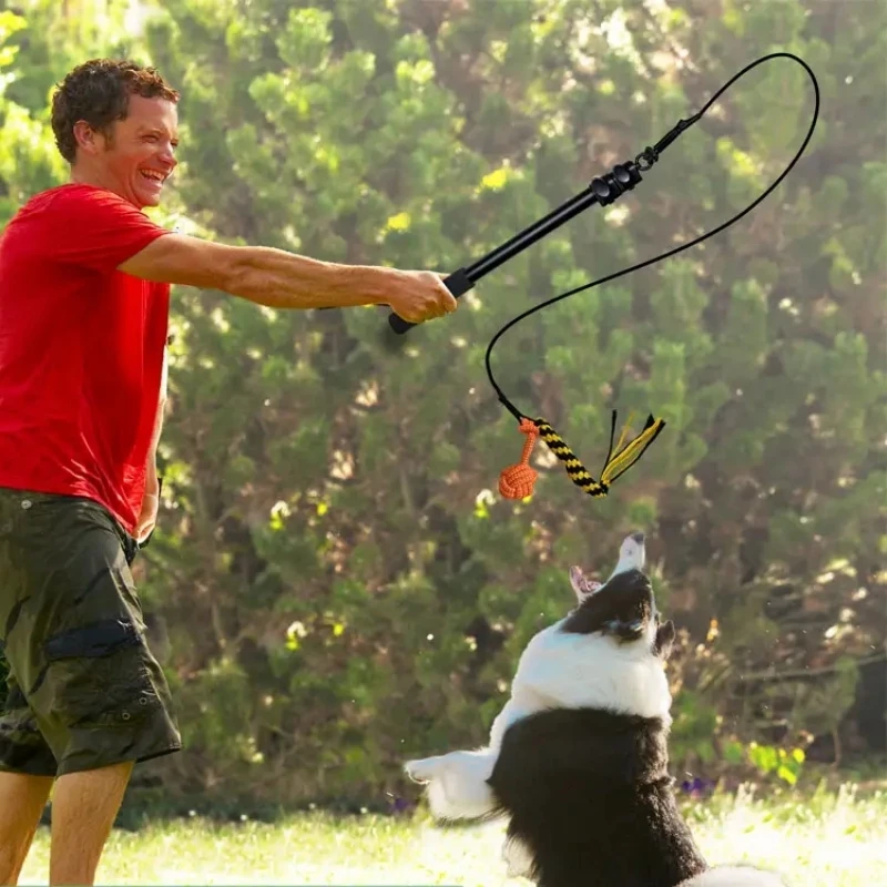 

Retractable Dog Teaser Stick Pet Training Pole Dog Interactive Toy Pet Teaser Wand Chasing Tail Teaser And Exerciser For Pet