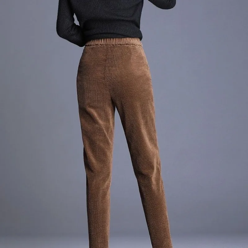 2023 Corduroy Plush Fashionable Autumn and Winter Women's Loose High Waisted Pockets Solid Color Commuting Carrot Harem Pants