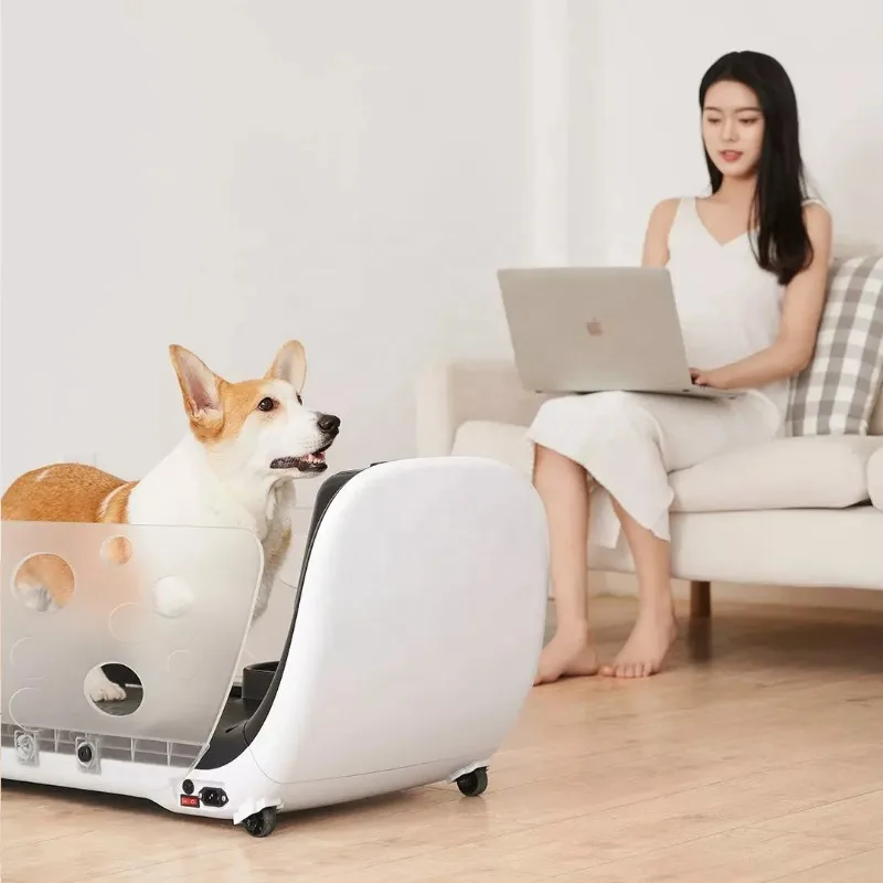 

Running Wheel for Pet Cat, Metal Intelligent Speed Regulation, Running Conveyor Belt, Sports Fitness, Weight Loss