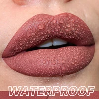 Velvet Soft Mist Matte Lipstick, Long-Lasting,Sweat-Proof, Non-Touch Cup, Smudge-Proof Lip Tint With High Color Rendering 3