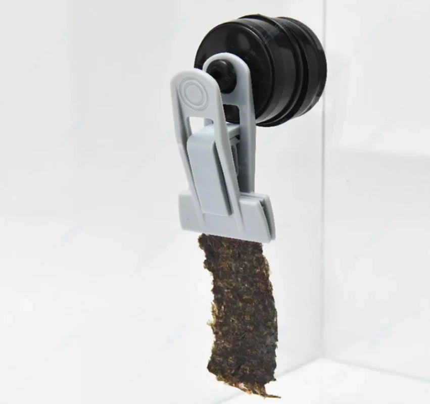 Voederclips / zeewier clips | Voeding & voederautomaten voor aquariums