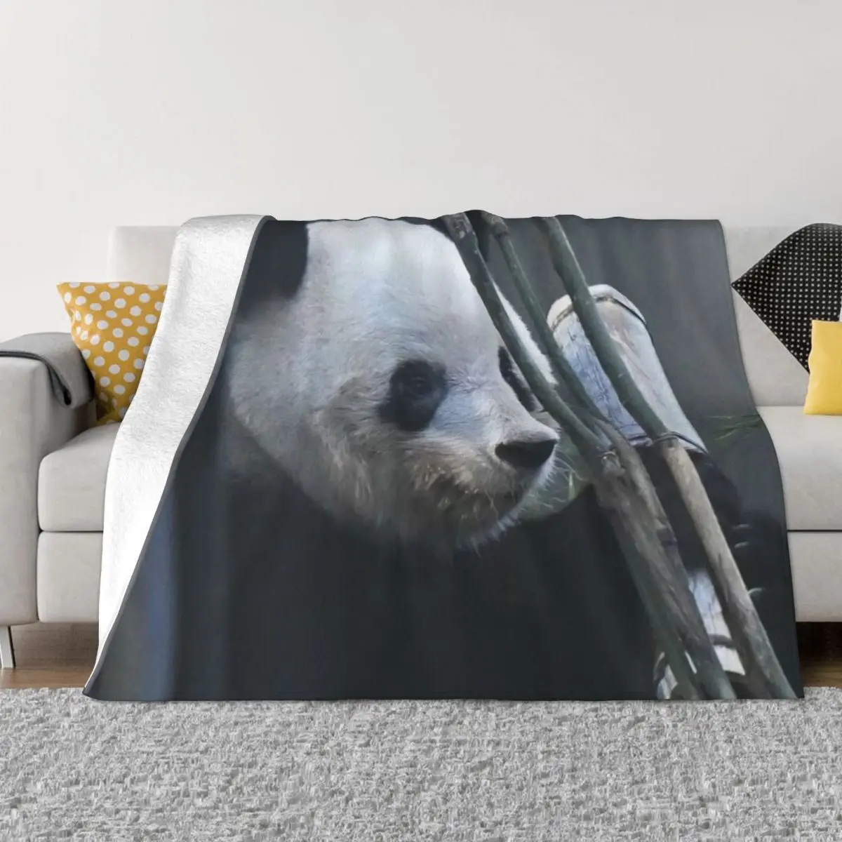 

Japanese Xiangxiang Panda Blanket Plaid All-Season Comfort Throw Blankets for Luxury Bedding Affordable