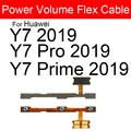 Y7 2019