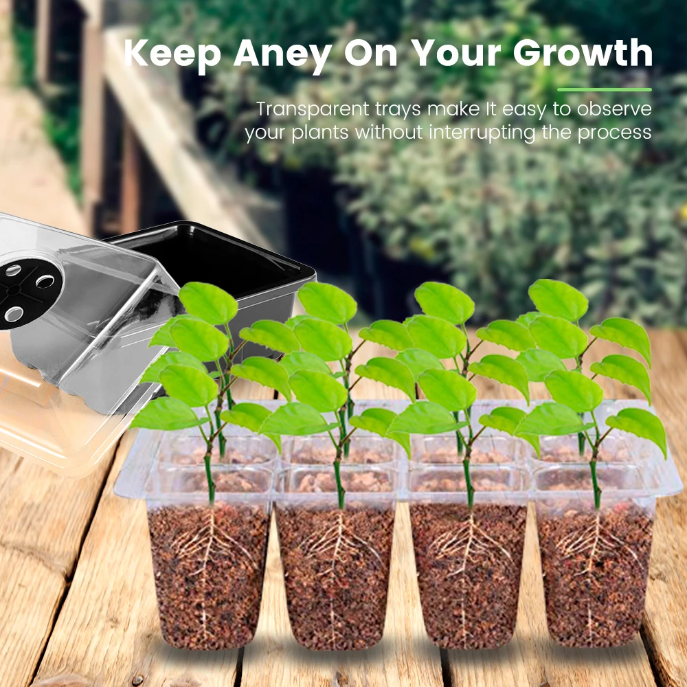 6Pcs Seedling Starter Trays 12 Hole Plastic Plant Seeds Grow Box Vegetable Flower Plant Pots Nursery Grow Box for Garden Ourdoor