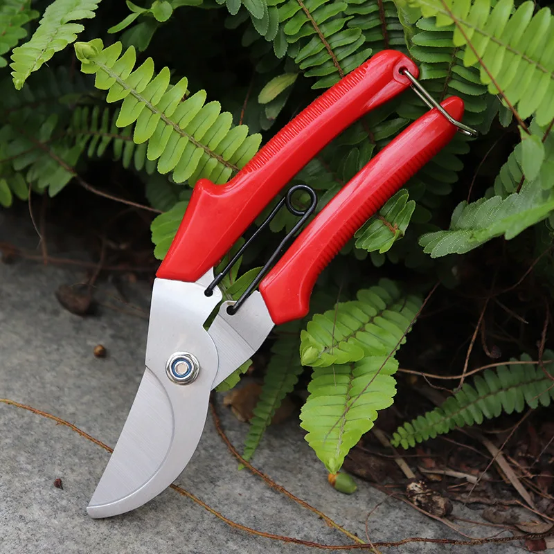 

Pruning bonsai grafting garden shears stainless steel pruning shears 26mm thick branch picking household pruning shears