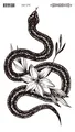 Image 16