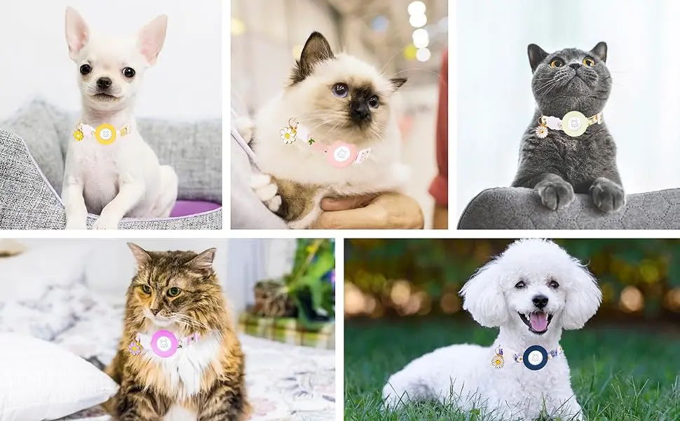 Daisy Charm – Cute AirTag Cat Collar 🌼 Breakaway Kitten Collar  with AirTag Holder, Bells & Flower Charm
