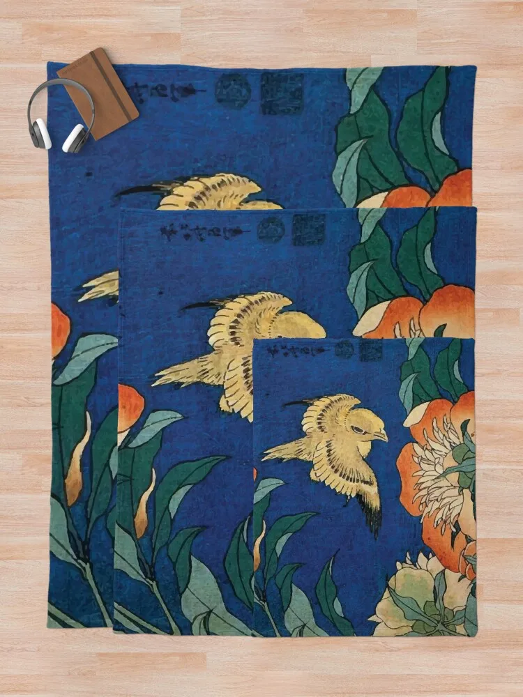 ī����ī ȣ������ | ī������ ��� ������ ���, ���� ħ�� ���, ���Ÿ� ������ ���