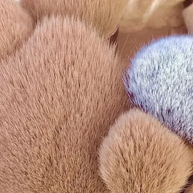 1/13 PCS Makeup Brushes Set Eye Shadow Foundation Women Cosmetic Brush Eyeshadow Blush Beauty Soft Make Up Tools Bag makeup tool