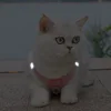 Rabbit Fur Cat Dog Harness and Leash Set Winter Pet Outdoor Walking Supplies Reflective Adjustable Kitten Puppy gatos Harnesses 5
