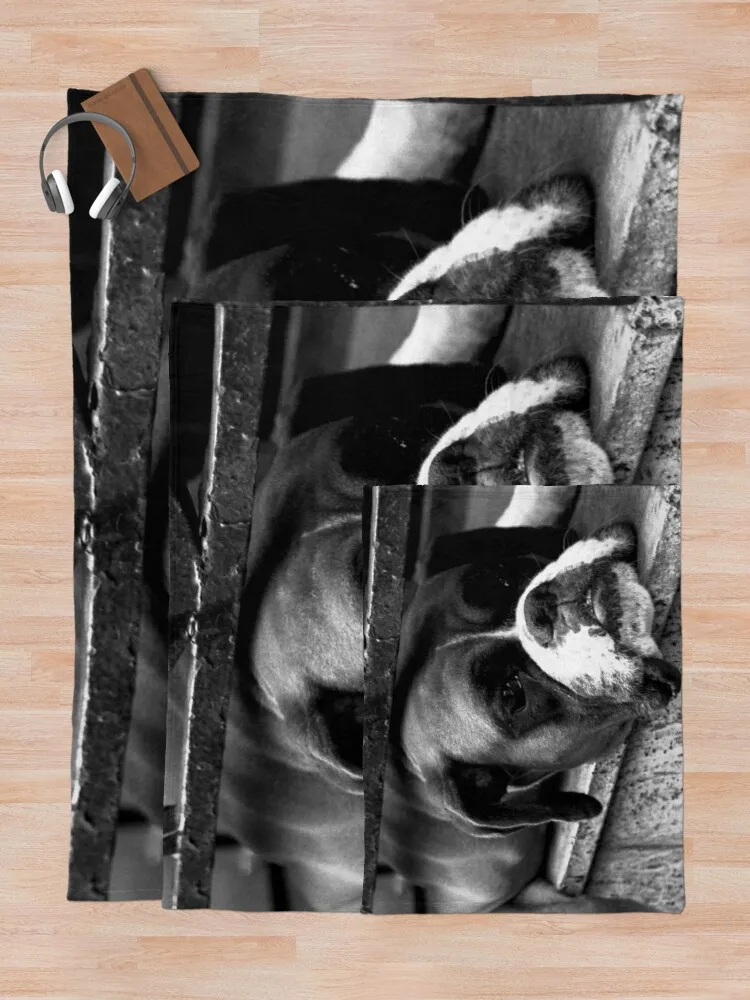 â�� ������ ���, ������ ��� �ؼ��翡 ���� ��