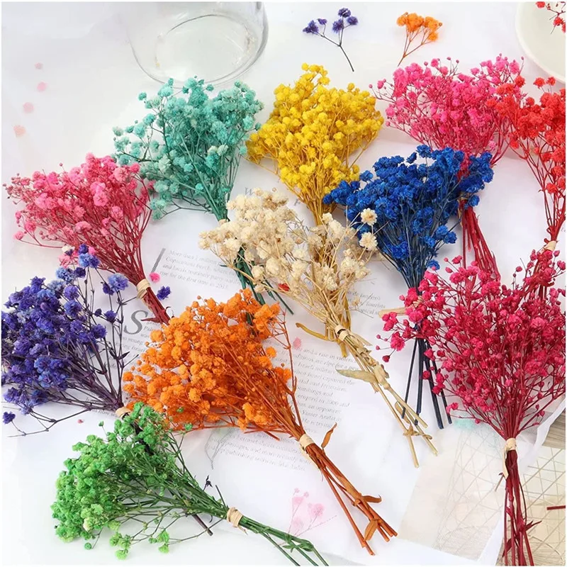 

Natural Dried Bouquets Fresh Dried Preserved Flowers Small Natural Dried Flowers Bouquet Dry Flowers Press Home Wedding Decor