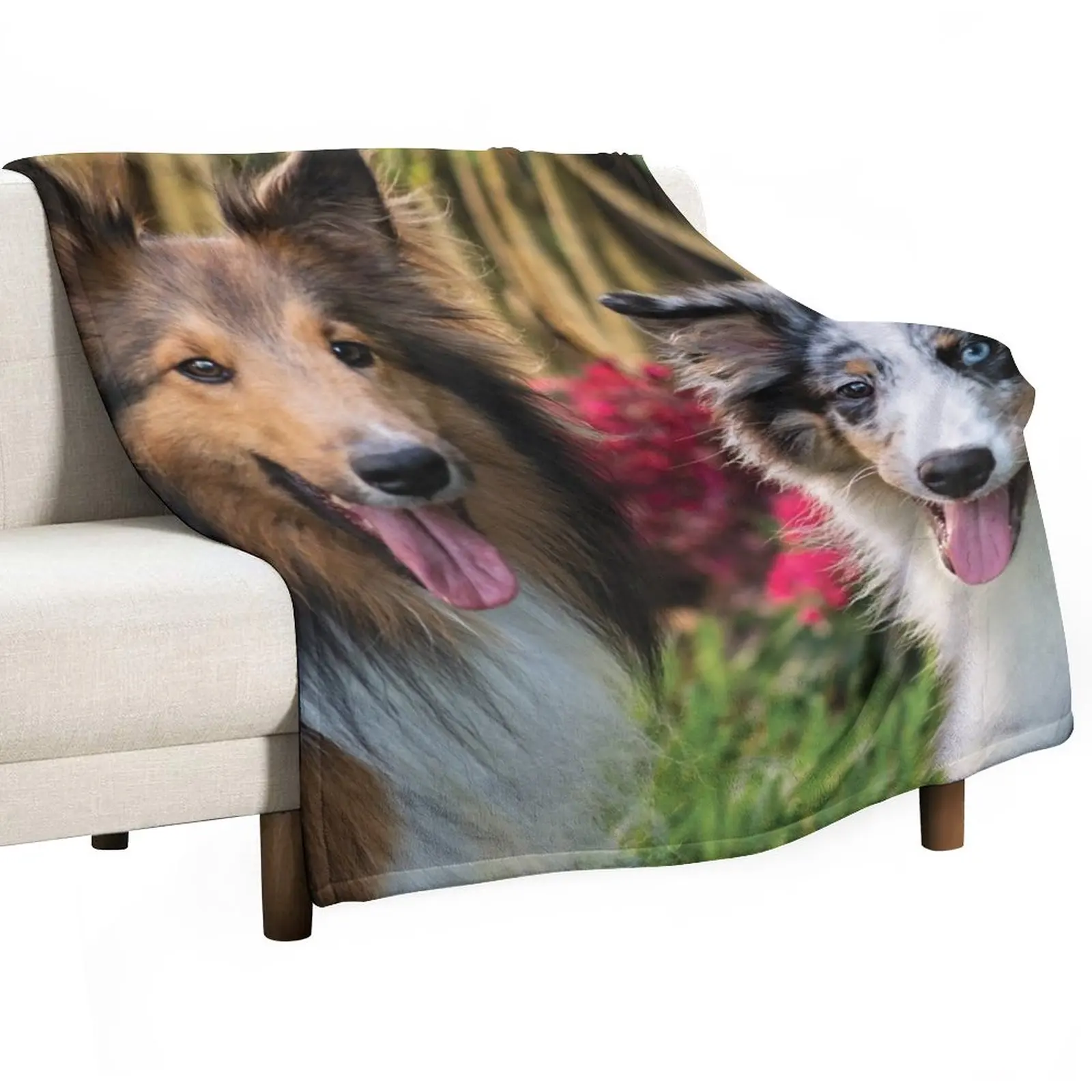 

Cute dogs Throw Blanket Blankets For Bed Soft Beds Single Blankets