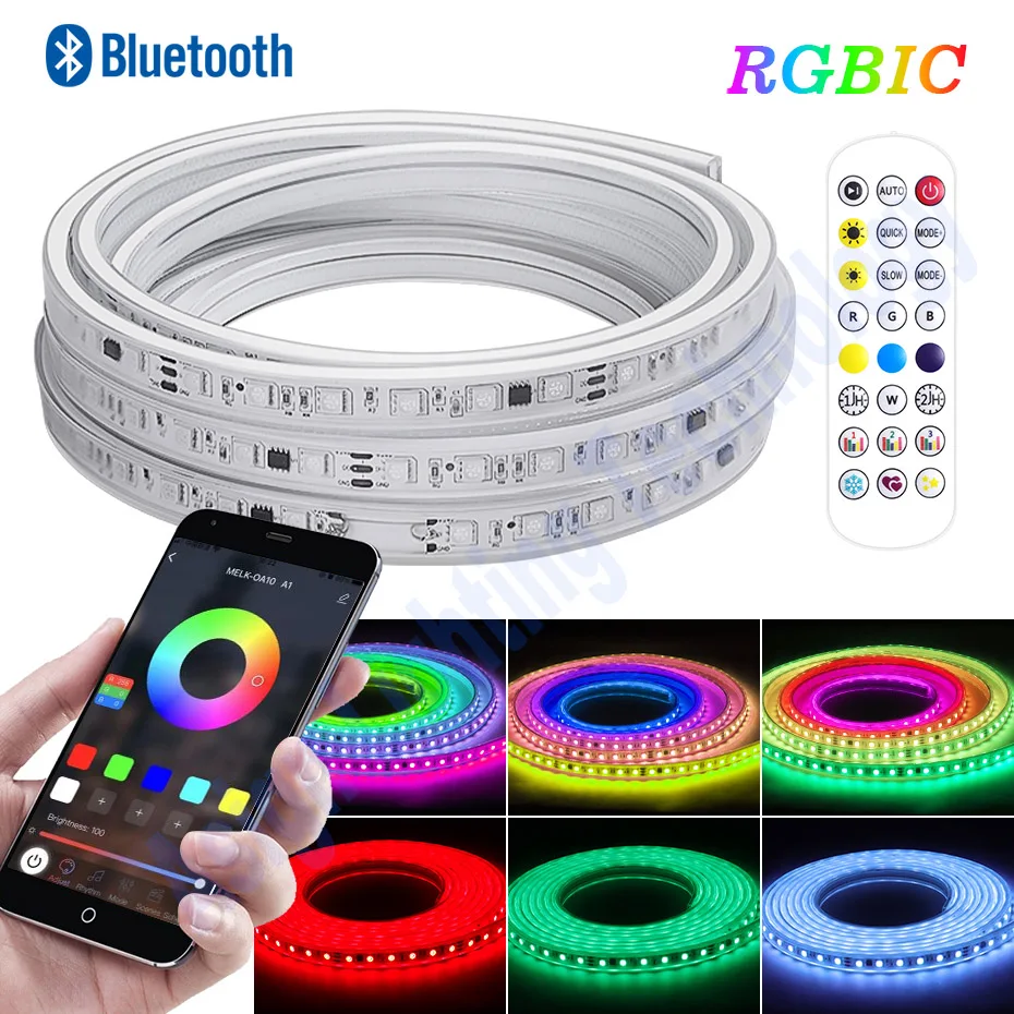 1-50M RGBIC Led Strip Light 110V 220V 60Leds/m Smart Bluetooth Remote Control Waterproof IP67 Dream Color Flex Tape Strip Lamp