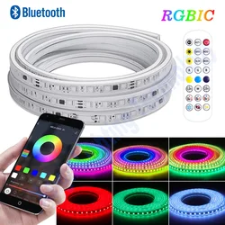 1-50M RGBIC Led Strip Light 110V 220V 60Leds/m Smart Bluetooth Remote Control Waterproof IP67 Dream Color Flex Tape Strip Lamp