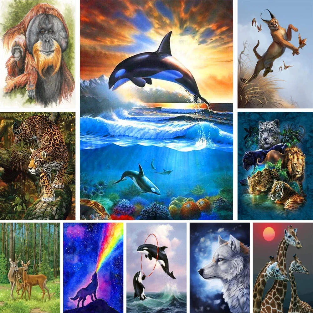 

301366 Fantasy Animals Killer Whale Coloring By Numbers Painting Package Oil Paints 40*50 Canvas Pictures Loft Wall Picture