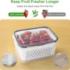 3 multi-functional sealed fruit and vegetable preservation boxes - drainage tank and refrigerator storage box - keep food in the 3