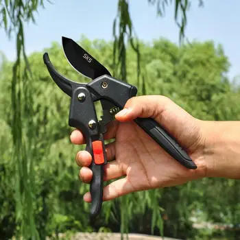 Pruner Garden Scissors Professional 1