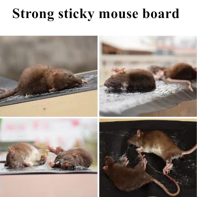 2 souris de souris de piège de rat de rongeur de colle de souris de rongeur  tueur longueur: 1.2m