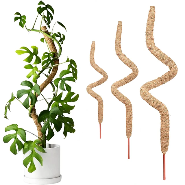 Diy Hajlítható Növényoszlopok Növényekhez Monstera Botok Támogatják A Beltéri Kiképzést, Hogy Felfelé, Kézzel Készített Tétek Mászáshoz Nőjenek