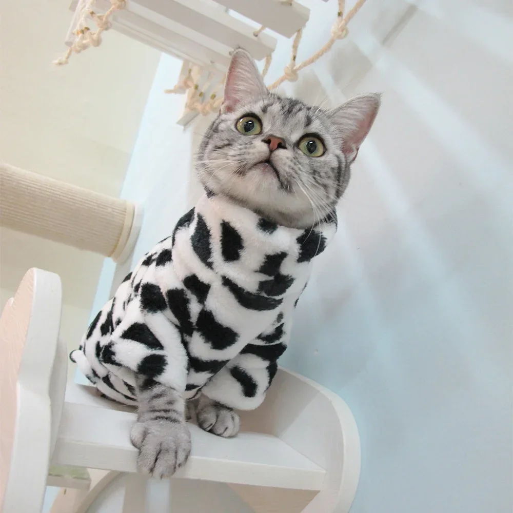 Hairless Cat Sweater Winter Fashion Thickening Warm Sphynx Clothes Home Comfortable Winter Dog Clothes for Small Dogs pet clothes