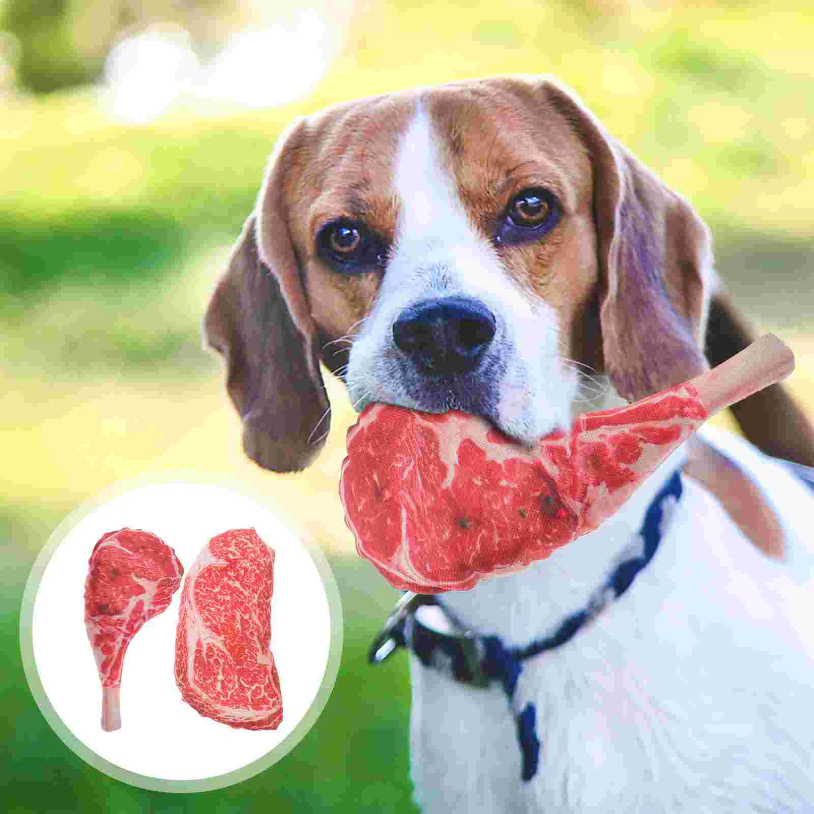 

2 Pcs Pet Chew Toys Dog Chewing Puppy Teething Playthings Bone Sounding Steak Cotton Supplies