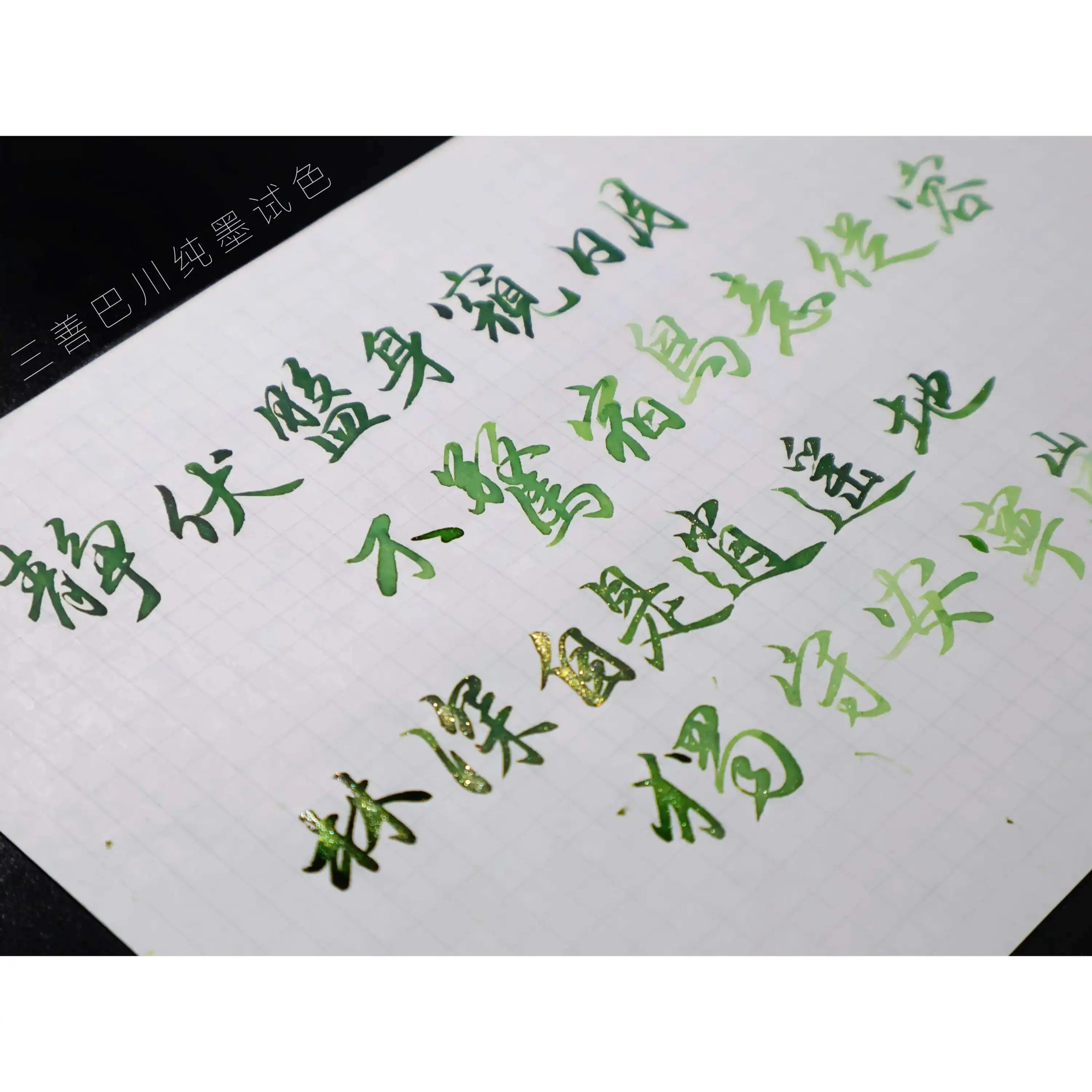 스네이크 2025 년 한정판, 포레스트 파이썬, 레이어드 그라데이션 골드 파우더 잉크