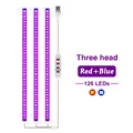 Blue Red Light 3