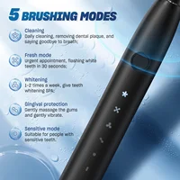 Sejoy Electric Toothbrush With 8 Replacement Brush Heads Whitening Portable Sonic Toothbrush Rechargeable with Travel Case 2