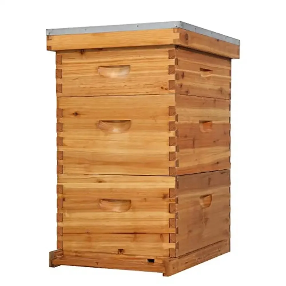 Wooden Bee Hive Kit 10-Frame Coated Beehive Starter Pack Frames Beeswax Foundation Sheets 3 Layer)