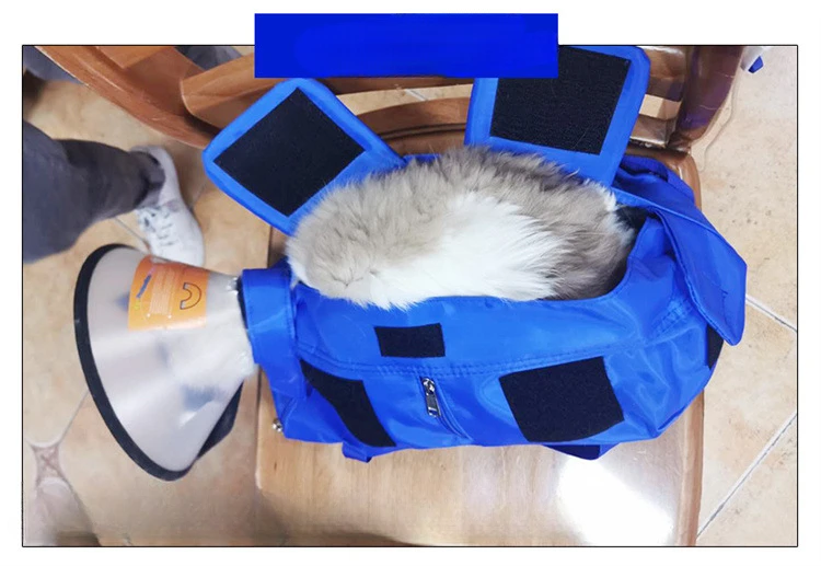 Title 21, Pet outing bag, portable foldable cat backpack,...