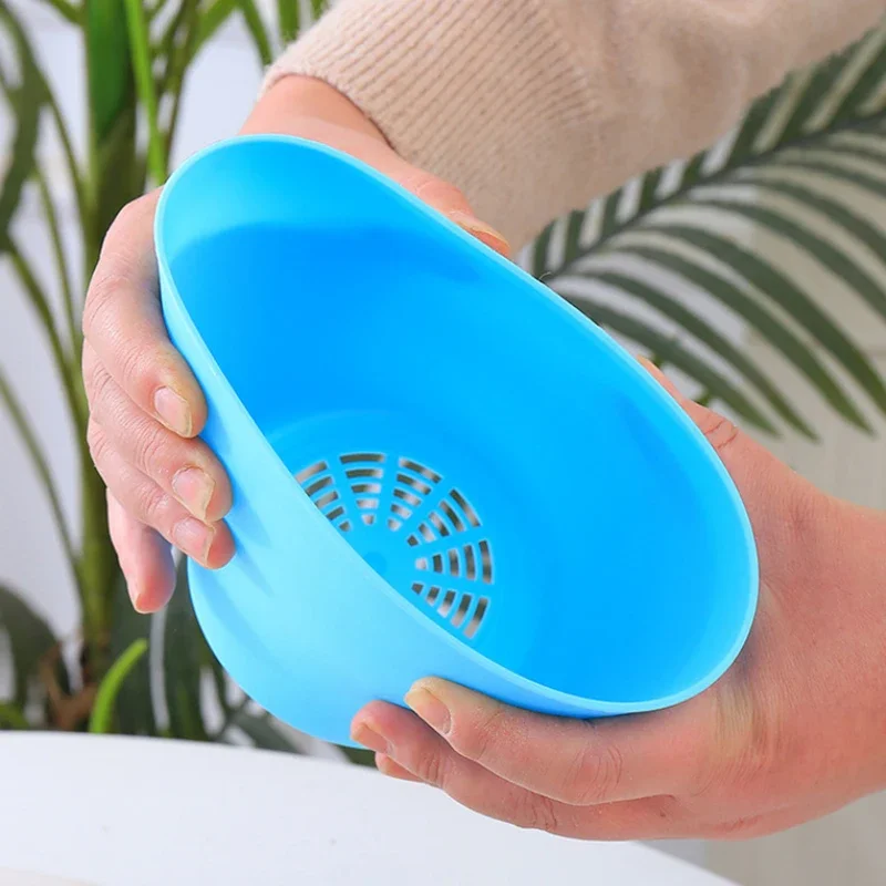 Vibrant Decorative Succulent Flowerpot