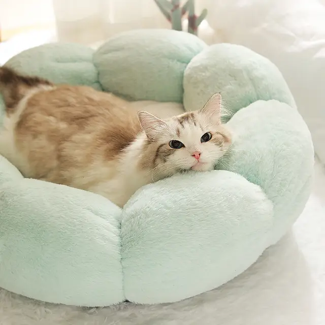 Cat Kennel Dog Kennel: The Perfect Bed for Your Furry Friend