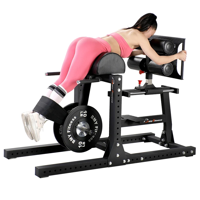 Reverse Crunch With Hip Lift Hip Advanced Leg Raises Roman Chair