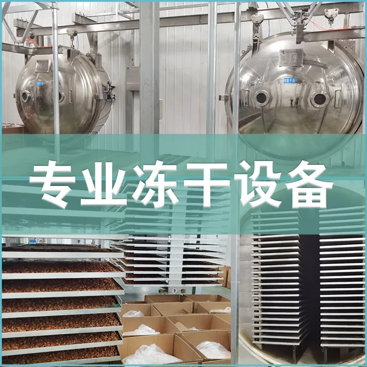 Pet Freeze-dried Beef Liver Granules Dog and Cat Snacks Supplementary Food Beef Liver Freeze-dried Block