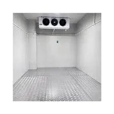 Industrial Blast Walk In Freezer Meat Storage Cold Cool Room For Sale