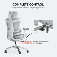 SIHOO Doro C300 Ergonomic Office Chair Soft 3D Armrests Dynamic Lumbar Support Home Office Chair Swivel Computer Desk Chair 2